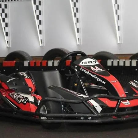 Bellevue Prázdninový dům Willingen (Upland)