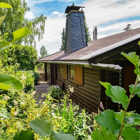 Prázdninový dům Bellevue Willingen (Upland)