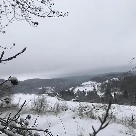 Bellevue Vakantiehuis Willingen (Upland)