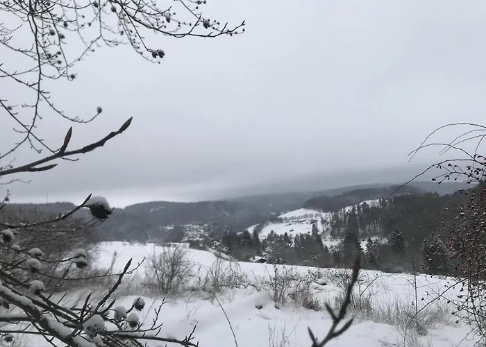 Bellevue Tatil Evi Willingen (Upland)